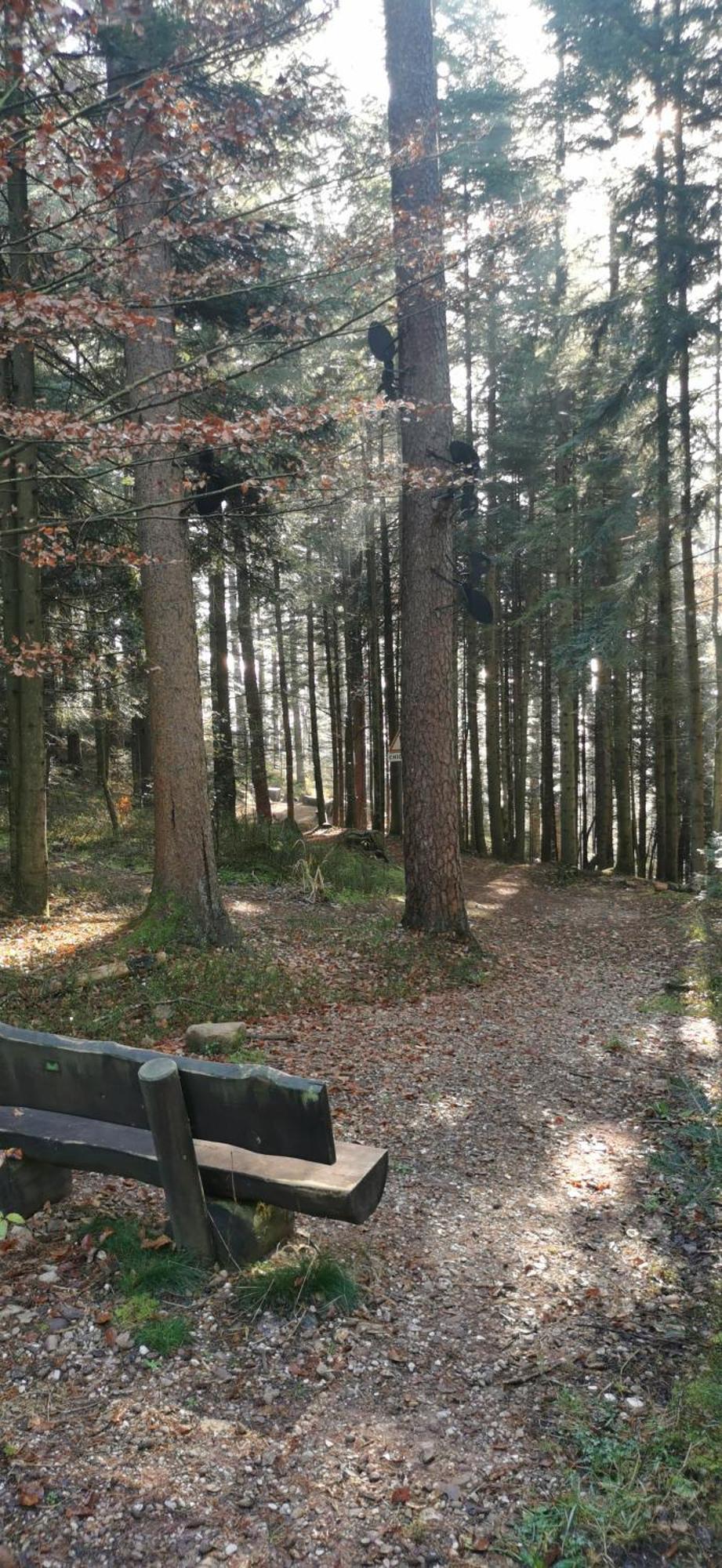 Chez Rose Lägenhet Bruyeres Exteriör bild